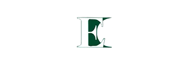 ELECTRIC CHANNELLING   ENGINEERING PTE LTD