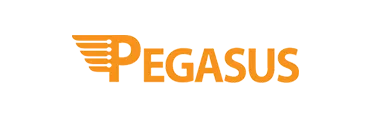 Pegasus Ele