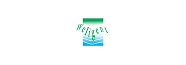 Electroplating Parts, Liquid Filters Penang - Malaysia - Weligent